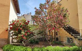 Il Giardino Delle Camelie
